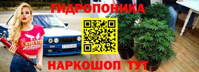герыч Новодвинск