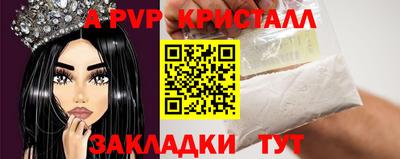 таблы Новозыбков