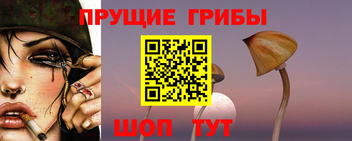 Сыктывкар  Псилоцибиновые грибы прущие грибы  Вход с VPN 