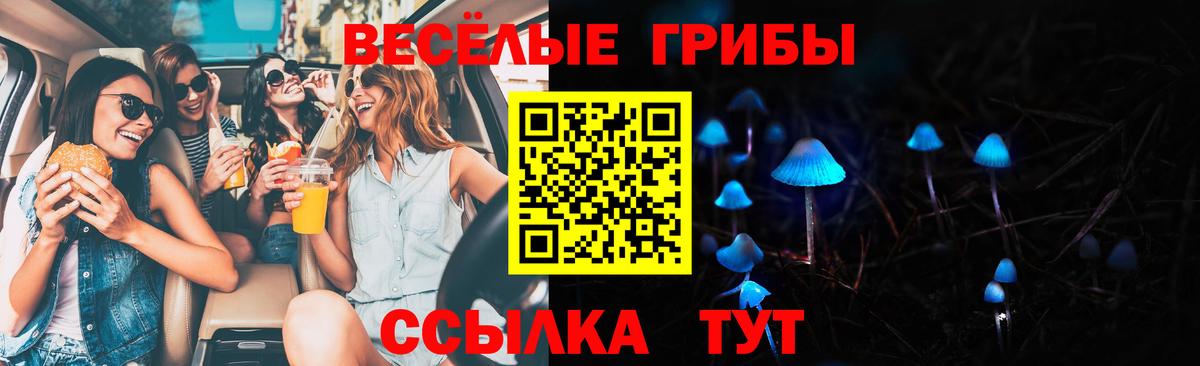 Галлюциногенные грибы MAGIC MUSHROOMS Сыктывкар